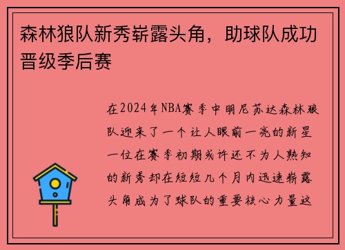 森林狼队新秀崭露头角，助球队成功晋级季后赛